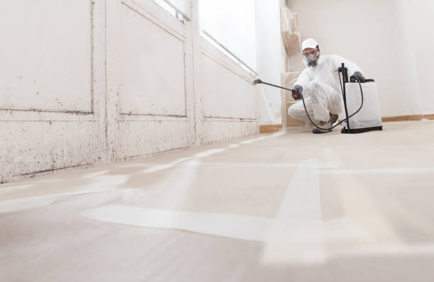 24/7 Emergency Black Mold Remediation experts in Linden, TX